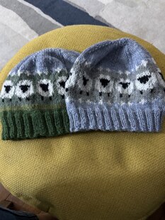 Flock hat