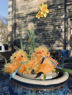 Easter Chocolate Egg Cosies