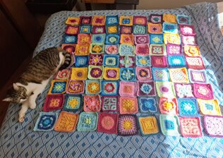 Granny I Shrank Your Squares CAL