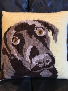 Bodhi and Banjo Cushion