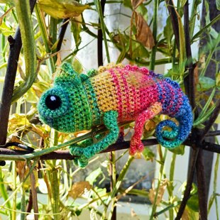 T.C.K. Chameleon