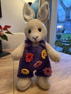 Tash’s Bunny