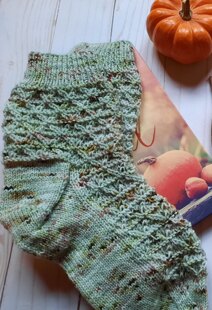 Trimetry Socks in Cozy Cottage