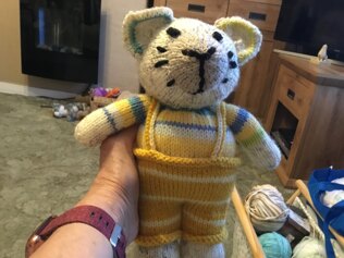 Kimmy koala
