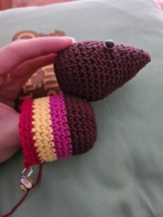 Rainbow Sausage Dog