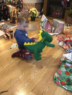 fitz dragon