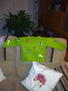 Child's insect jumper