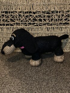 Small Dachshund
