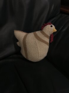 Second Emotional Support Chicken