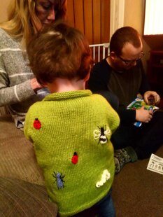 Child's insect jumper
