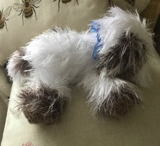 Stella Bella