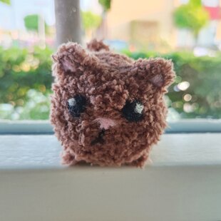 Cat...pet