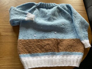 Dachshund Cardigan