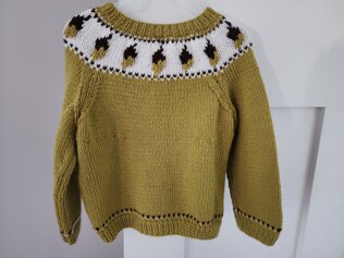 Cardigan with Acorn Yoke