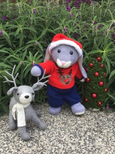 Festive fun for furry friends
