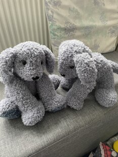 Baby “Bertie” Twins - both now at their new homes