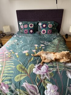 Double faced cushion covers