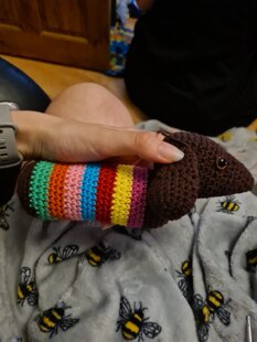 Rainbow Sausage Dog