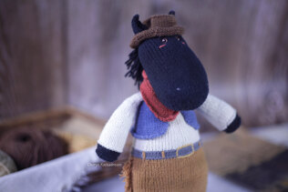 My cowboy horse Finn