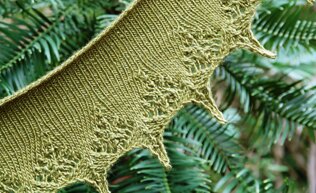 Wollemi Pine Lace Shawl