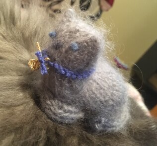 Julia's Cat