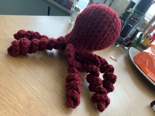 octopus