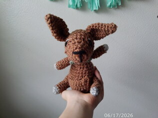 Ta-Da the Kangaroo