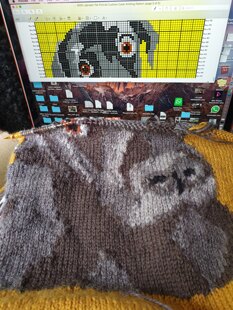 Bailey Cushion