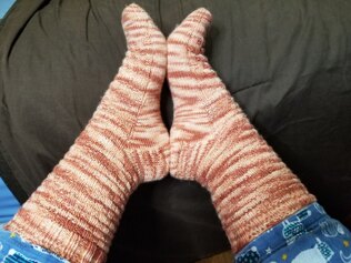 Crookshanks Socks