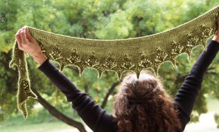Wollemi Pine Lace Shawl