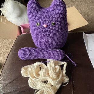 Kiki the mummy cat