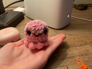 Octopus
