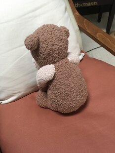 Bill Berry the Bear