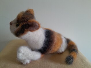 Calico Cat
