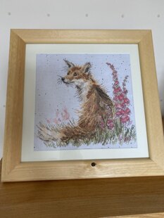 Amongst the Foxgloves