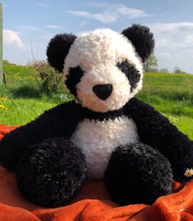 Panda bear