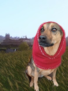 KCD Hood