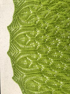 Shawl