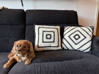 Xanath Cushion Faces