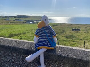 Amelia the Duck