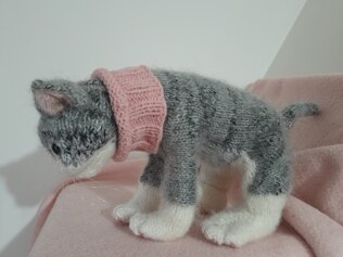 New Little Kitten