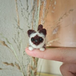 Fabian the mini cat