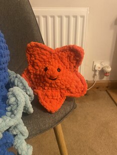 Jellyfish and starfish friends