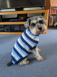Christmas jumper number two hundred and twenty seven