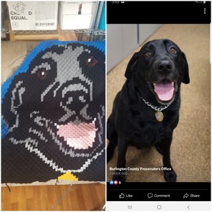 K9 Zero