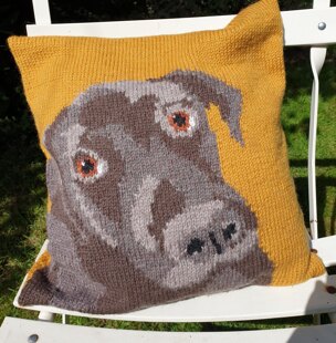 Bailey Cushion