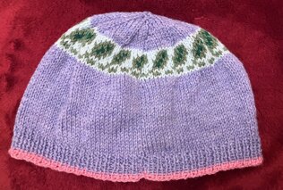 Budgie Bird Hat