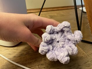 Lavender the octopus