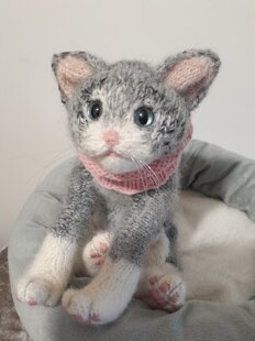 New Little Kitten