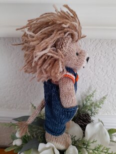 Mr Lion!
